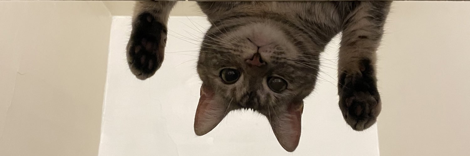 randydaiisy's profile banner image