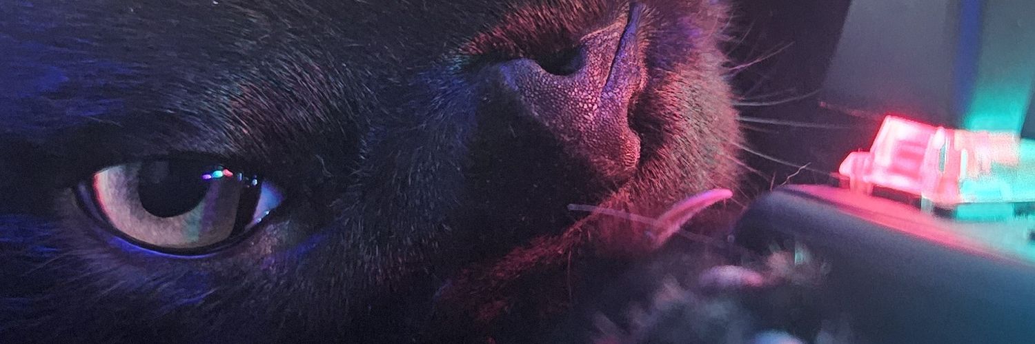 oppacki's profile banner image