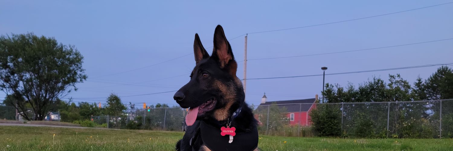 _creighton13's profile banner image