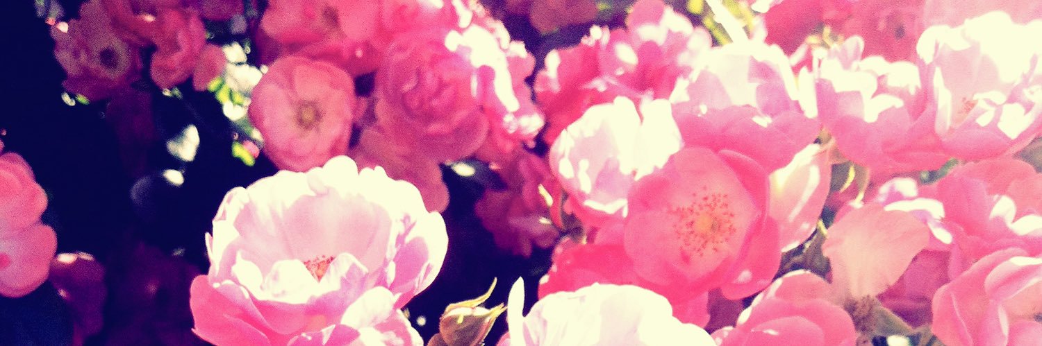 swsw_aa's profile banner image