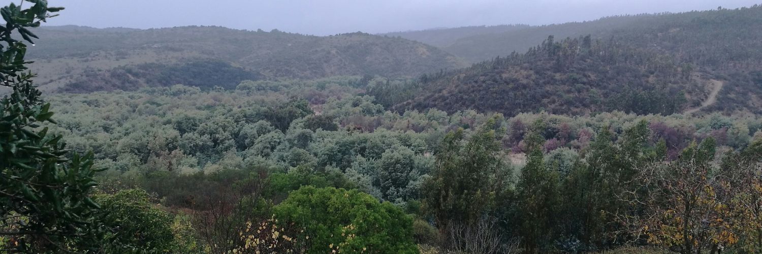 MatiRodriguezB's profile banner image