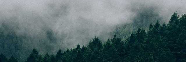 Eriadeus's profile banner image