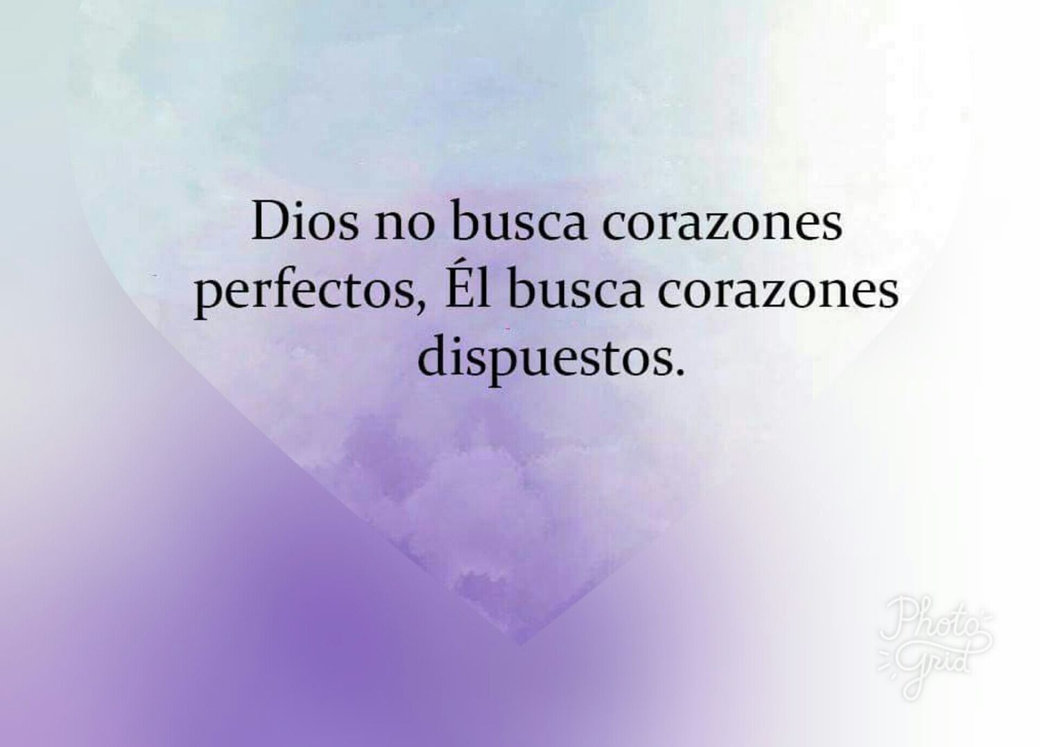 LiliAleCosta's profile banner image