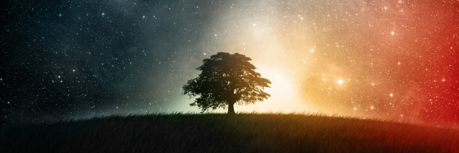 LEYs_chips's profile banner image