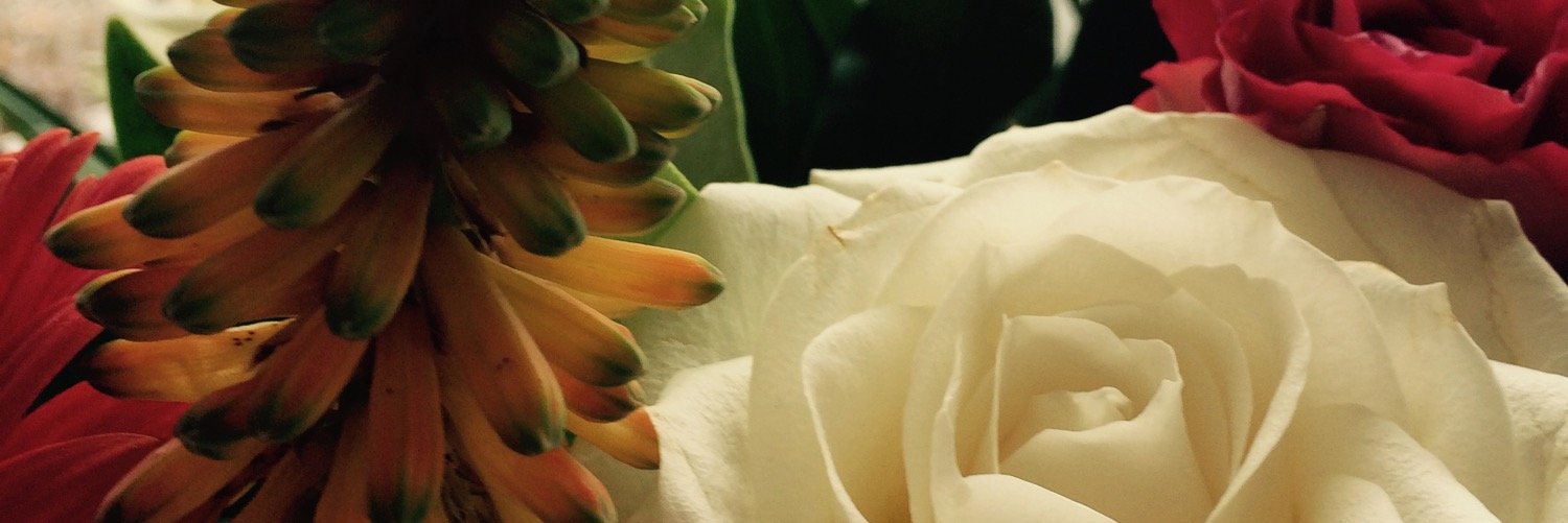 SarahWalmsley4's profile banner image