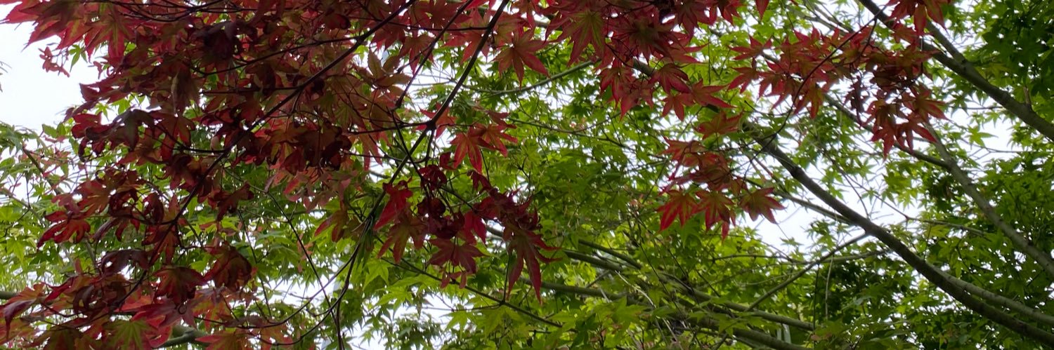 ina_tamara's profile banner image