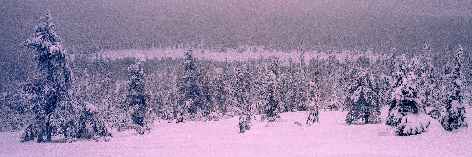 12GeV's profile banner image
