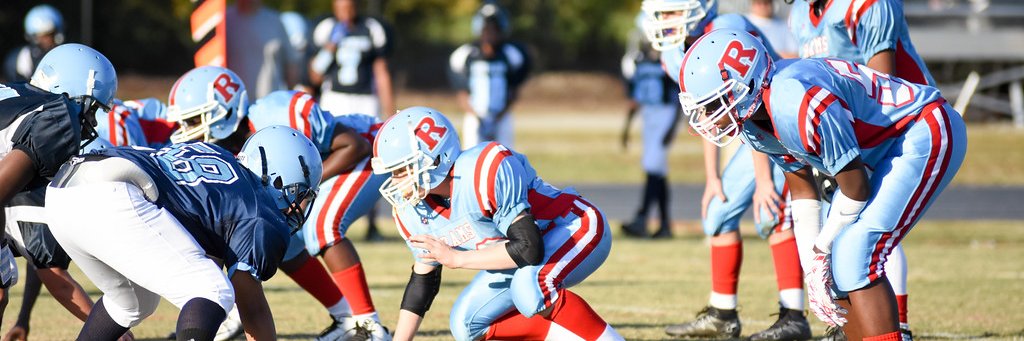 Dave 🏈🌹 🇵🇸 🇾🇪 banner