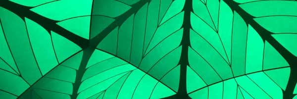 pat Profile Banner