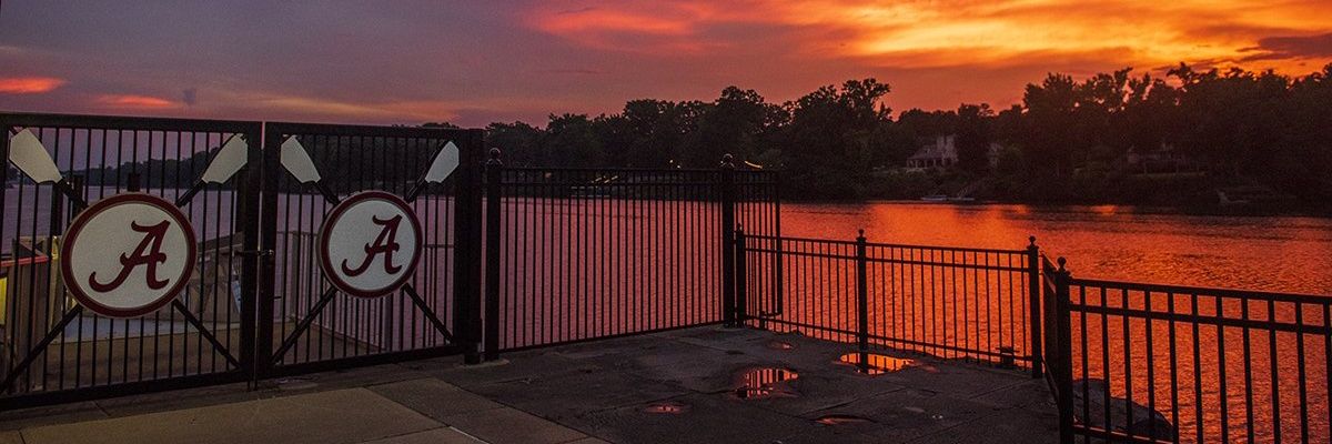 NeneJackson66's profile banner image