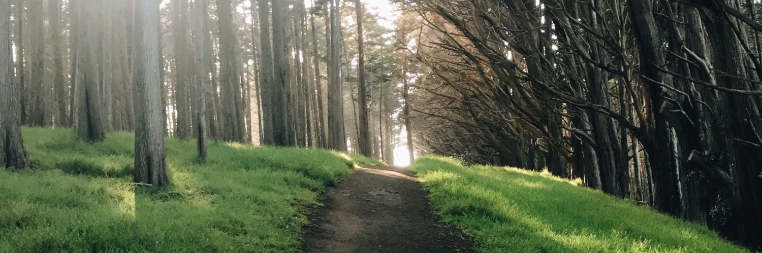 chairthebear's profile banner image