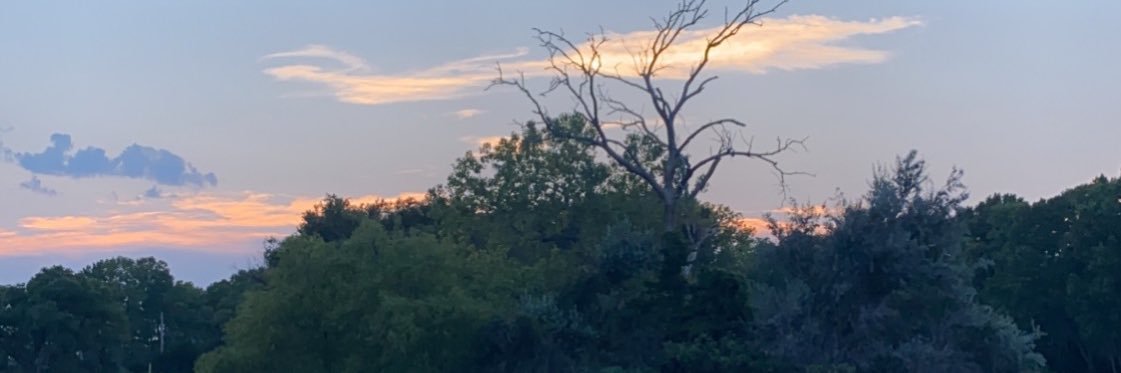 IcaStout's profile banner image