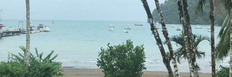 Anthony Folkerts banner