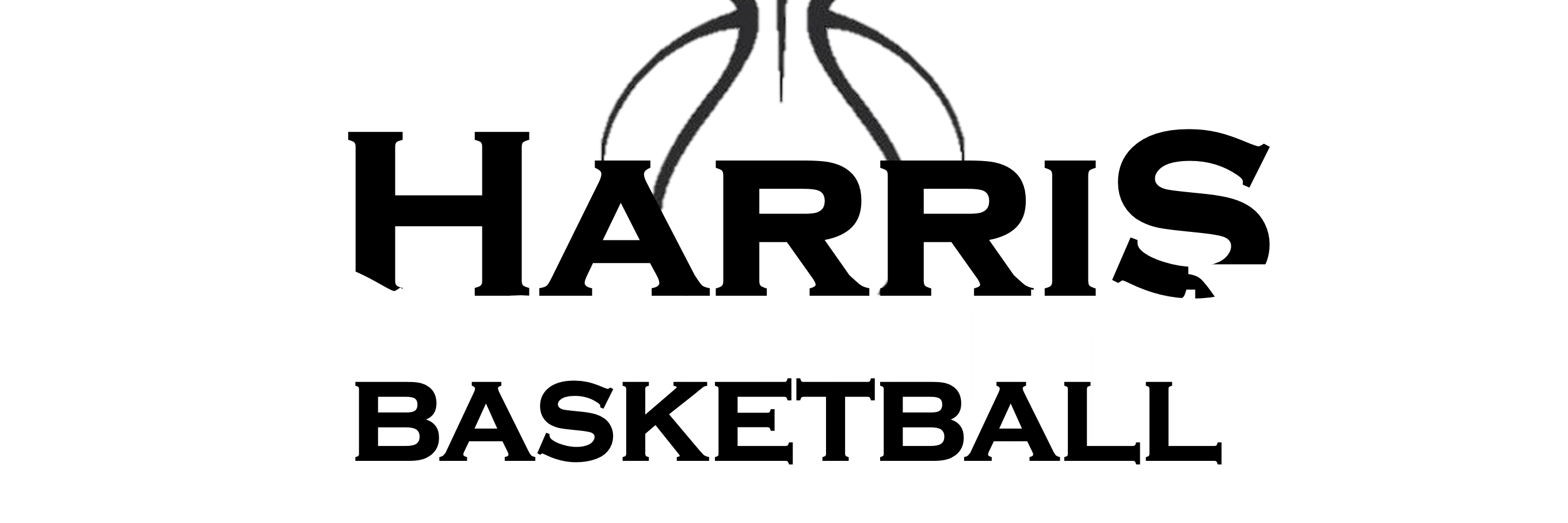 HCHS TIGER HOOPS banner