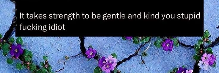 Complex banner