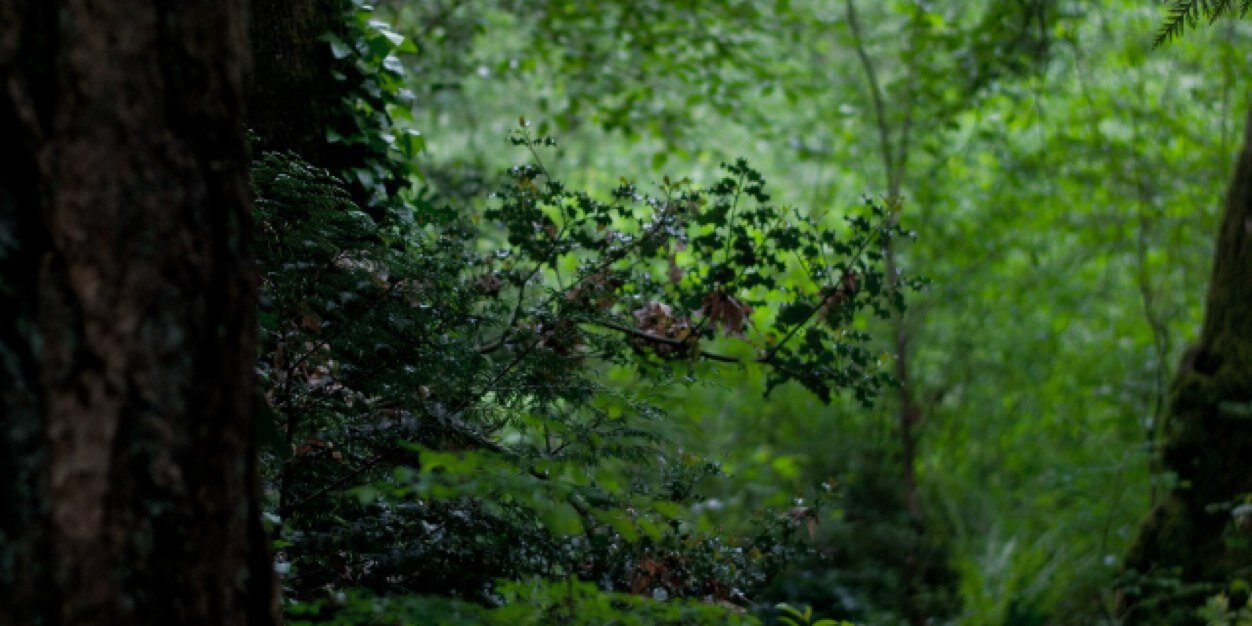 feeltheclick's profile banner image