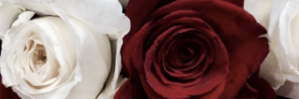 queen_IsaBella7's profile banner image