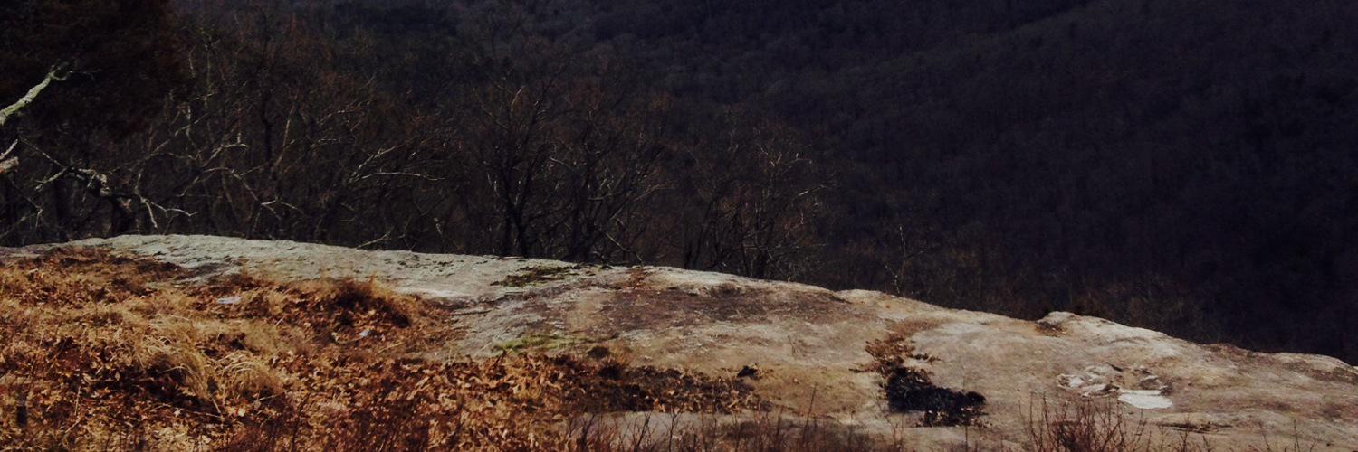 marybug94's profile banner image