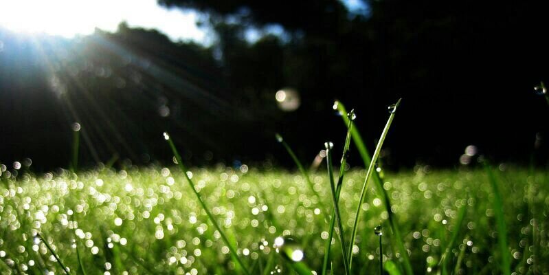 evinurdiansyah's profile banner image