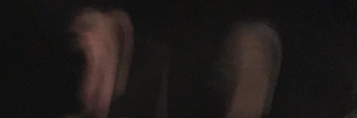 sOP4p0H! banner