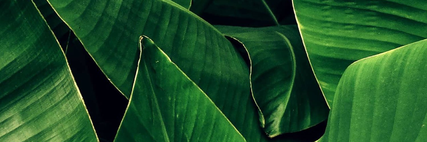 TheRealBSTEW's profile banner image