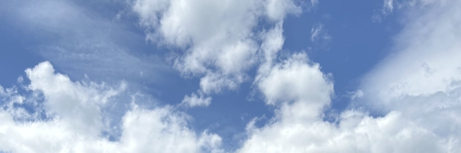 mehmehbutt's profile banner image