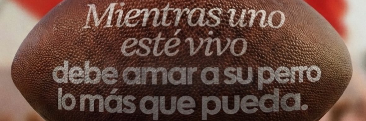 Debb banner