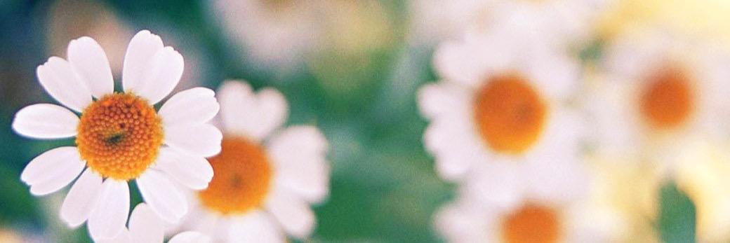 garysdaughterr's profile banner image