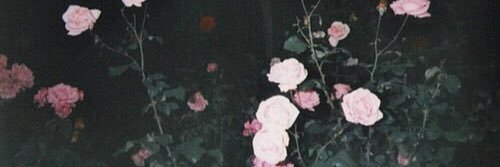 rreeyc's profile banner image