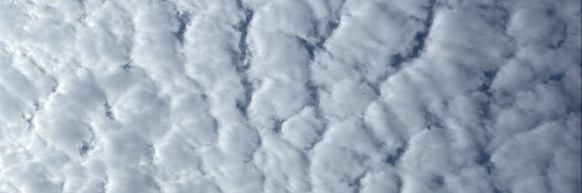 la_legius's profile banner image