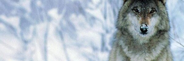 JuanJSX7 Profile Banner