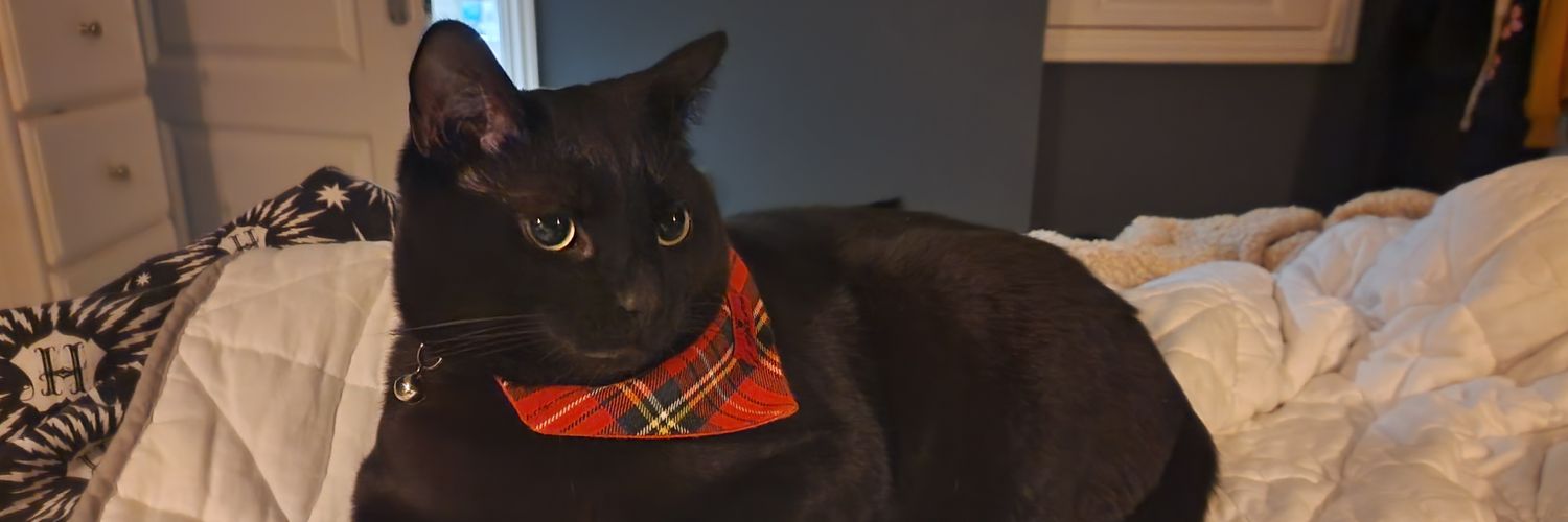 disgruntled5047's profile banner image