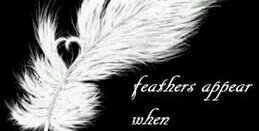 dennis spaans banner