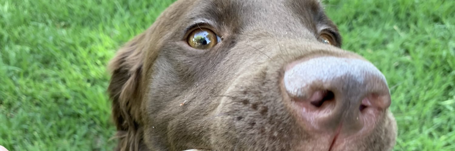 alyssabernier's profile banner image