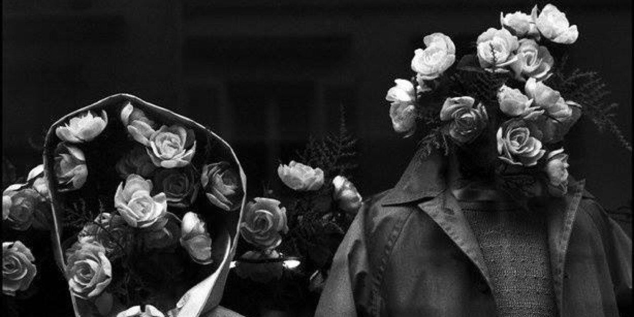 Alice_Maguire's profile banner image