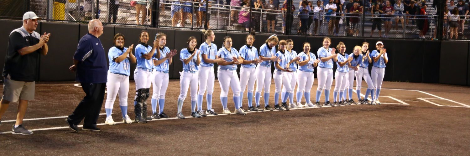 MSDA Softball banner