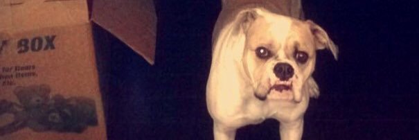 diegzz_'s profile banner image
