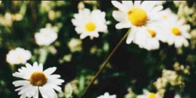 crystalchan_tkd's profile banner image
