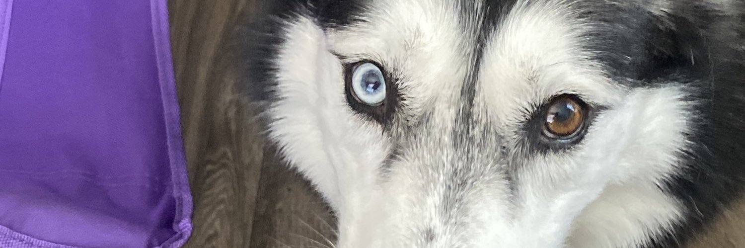 rxymdz's profile banner image
