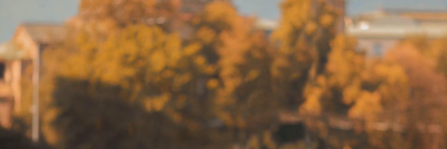 guroari629's profile banner image