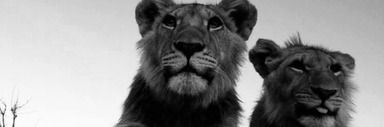 Andee Fontenot banner