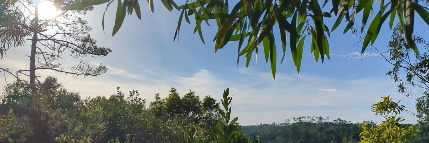 𓃥 𓃦 𓃥 banner