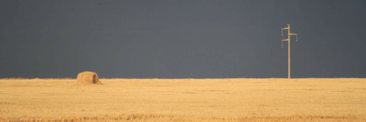 MartinBlanes's profile banner image