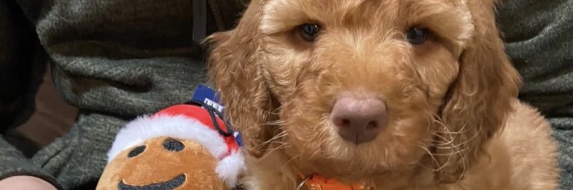 StacyVillarreal's profile banner image