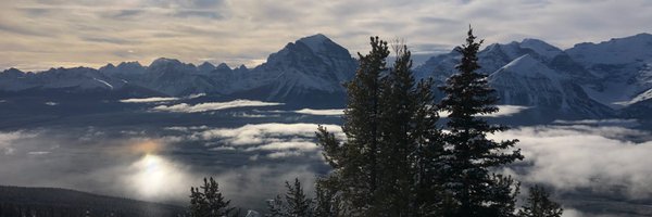 Swamenik Profile Banner