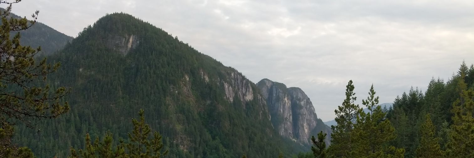 cswaine's profile banner image