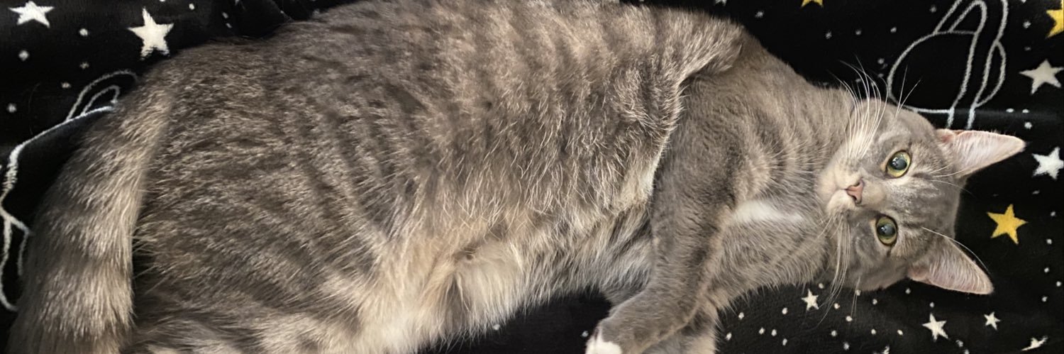alsodarian's profile banner image