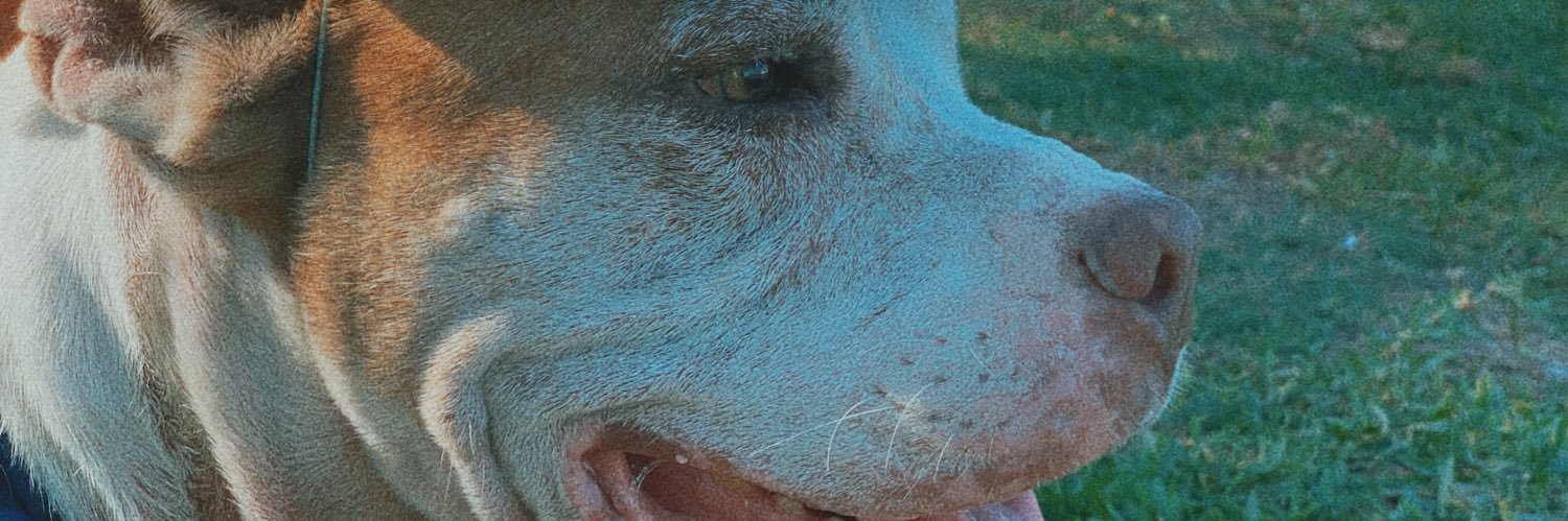 𝐀𝐥𝐞𝐣𝐚𝐧𝐝𝐫𝐚 banner