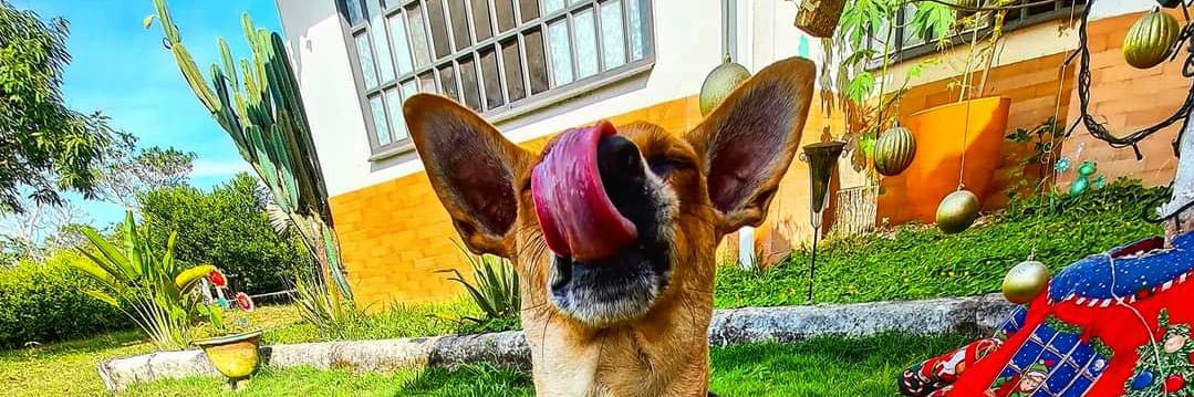 TatoRamireZ's profile banner image