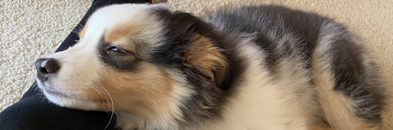 JessWillllliams's profile banner image